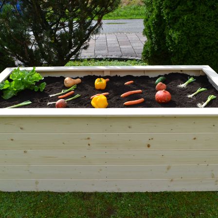 Bild enthält, Jar, Planter, Potted Plant, Pottery, Vase, Backyard, Interior Design, Grass, Soil, Tub