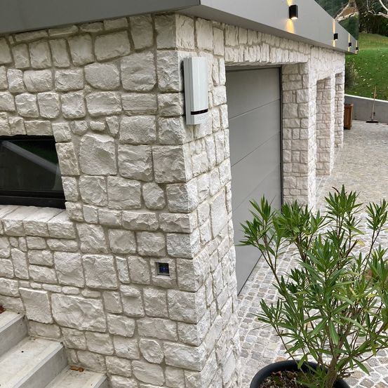 Bild enthält, Plant, Potted Plant, Planter, Pottery, Interior Design, Path, Road, Tree, Wall, Housing