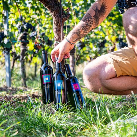 Ein Mann kniet in einem Weinberg und hält drei Flaschen Wein. Er hat eine Tätowierung am Arm und ist von Weinreben umgeben.