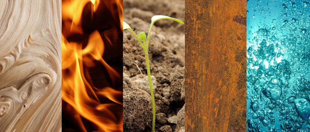 Bild enthält, Soil, Plant, Person, Wood, Outdoors, Nature