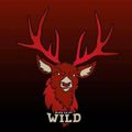 Black Valley WILD-Logo