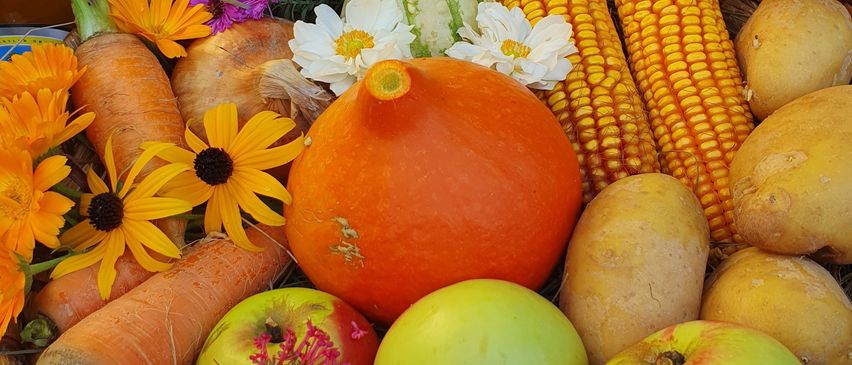 Bild enthält, Apple, Food, Fruit, Plant, Produce, Flower, Flower Arrangement, Flower Bouquet, Citrus Fruit