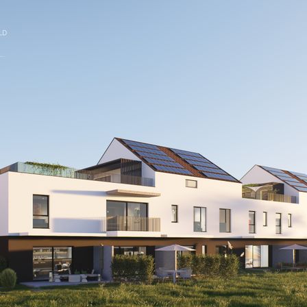 Eine Illustration eines modernen Wohngebäudes mit Solarpanels auf dem Dach, in einem grünen Feld gelegen, mit einem Schirm an der Seite.