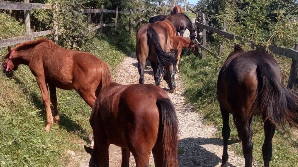 v1_migrated_image_13354014