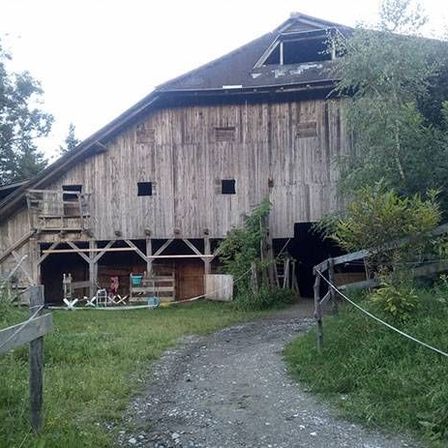 v1_migrated_image_83936597