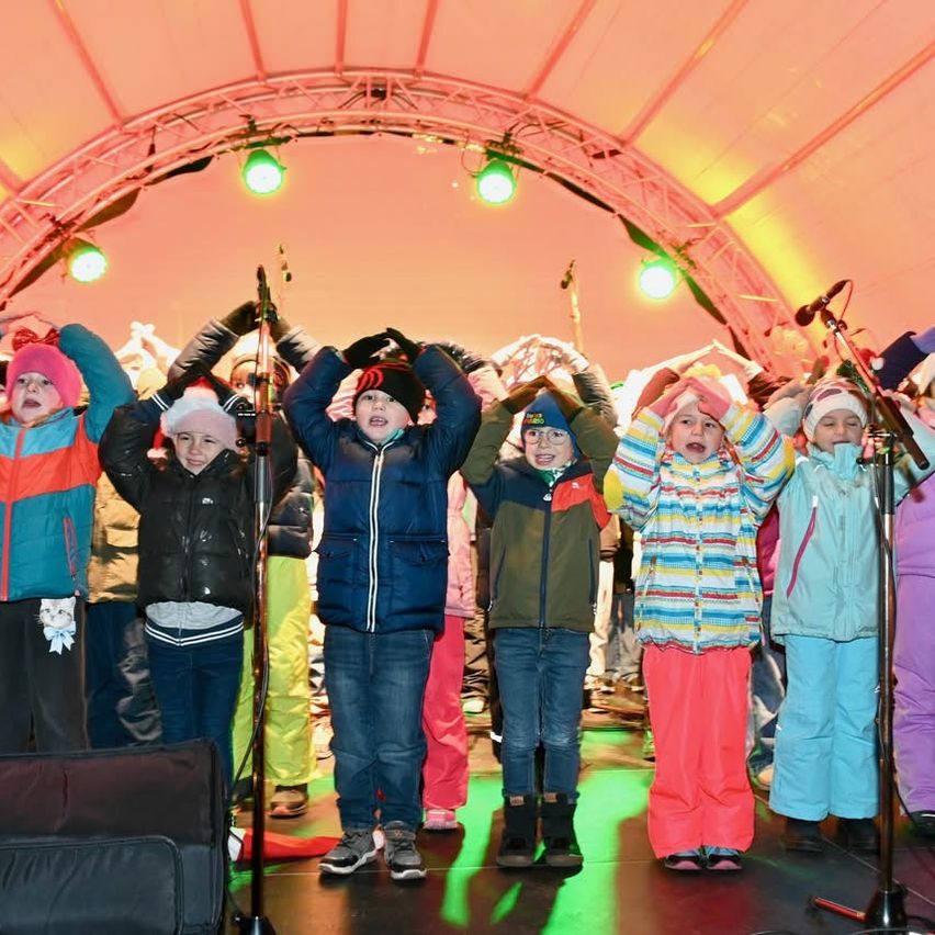 Bild enthält, Lighting, Stage, Microphone, Pants, Coat, Jacket, Adult, Female, Person, Woman