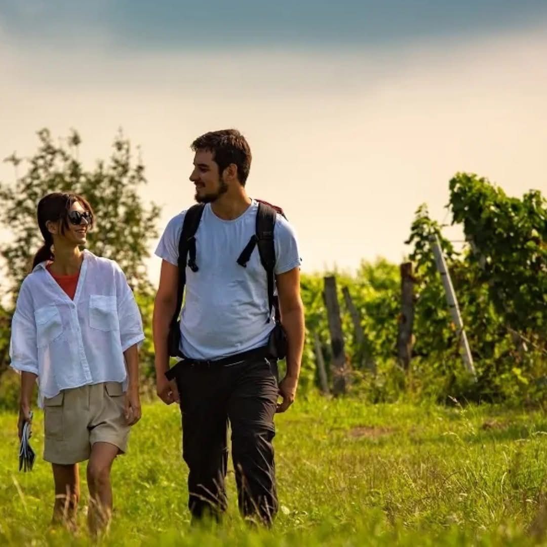 Ein Mann und eine Frau gehen auf einem Grasfeld, beide mit Sonnenbrille. Der Mann hat einen Rucksack und die Frau hält ein Buch. Hinter ihnen ist ein Holzzaun und einige Bäume.