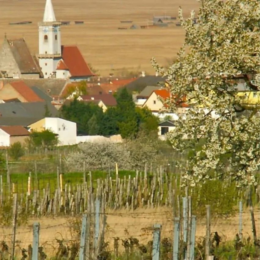 Ein Dorf mit mehreren Häusern, einige mit roten Dächern, liegt in einer weiten, offenen Landschaft mit einem Kirchturm in der Ferne.