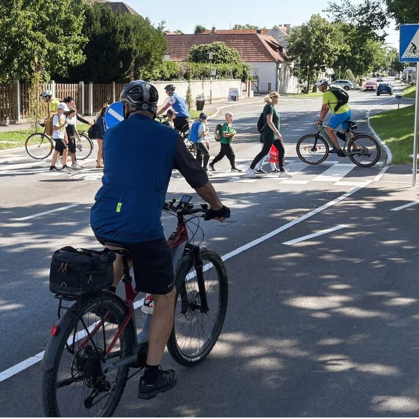 Eine Gruppe von Radfahrern und Fußgängern bewegt sich auf einer Straße mit einem Zebrastreifen, wobei einige Radfahrer Helme tragen und Taschen mit sich führen.