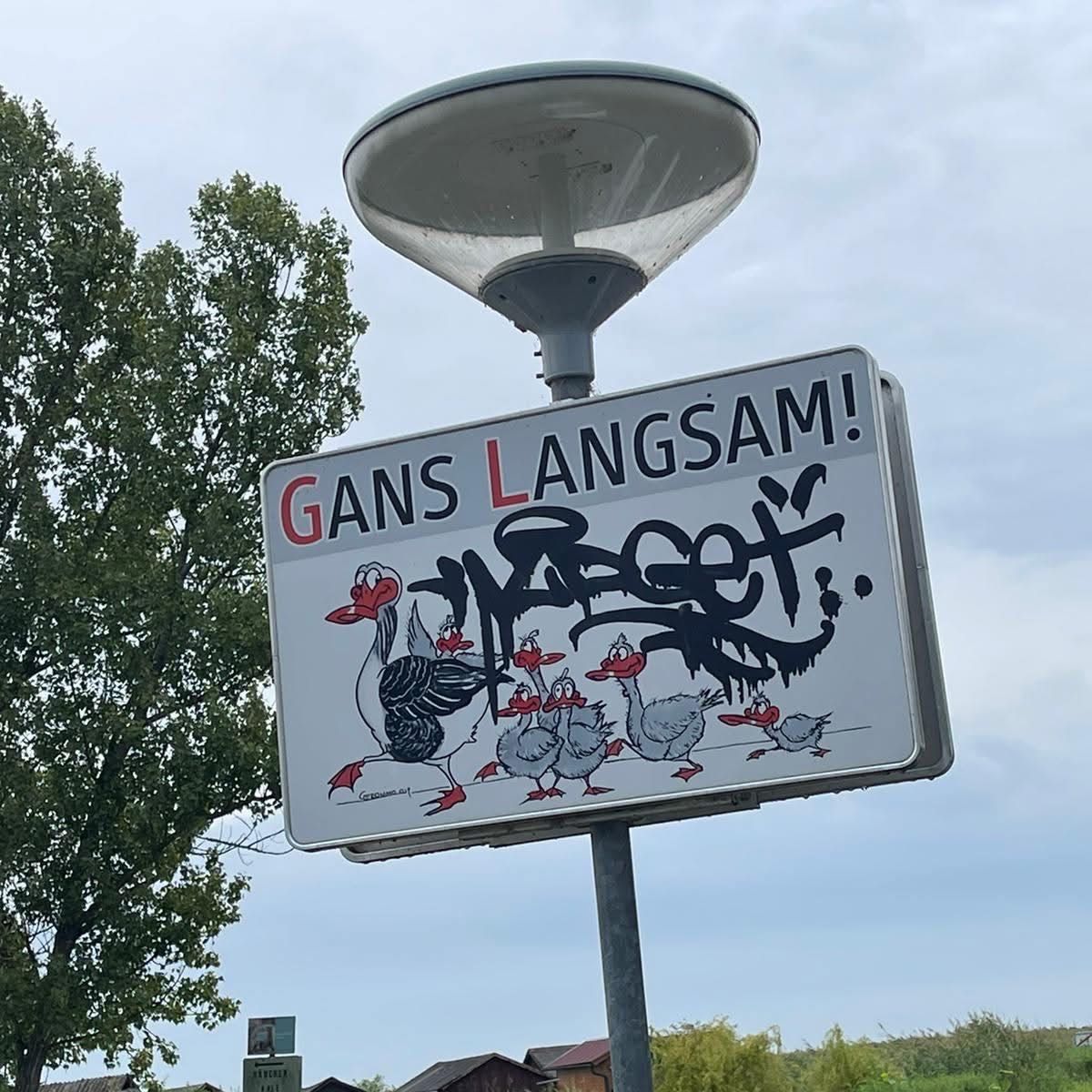 Ein weißer Straßenschild mit Graffiti darauf steht 'GANS LANGSAM!' mit einer Karikatur von Gänsen. Es ist an einem Straßenlaternenmast mit einer durchsichtigen Abdeckung befestigt.