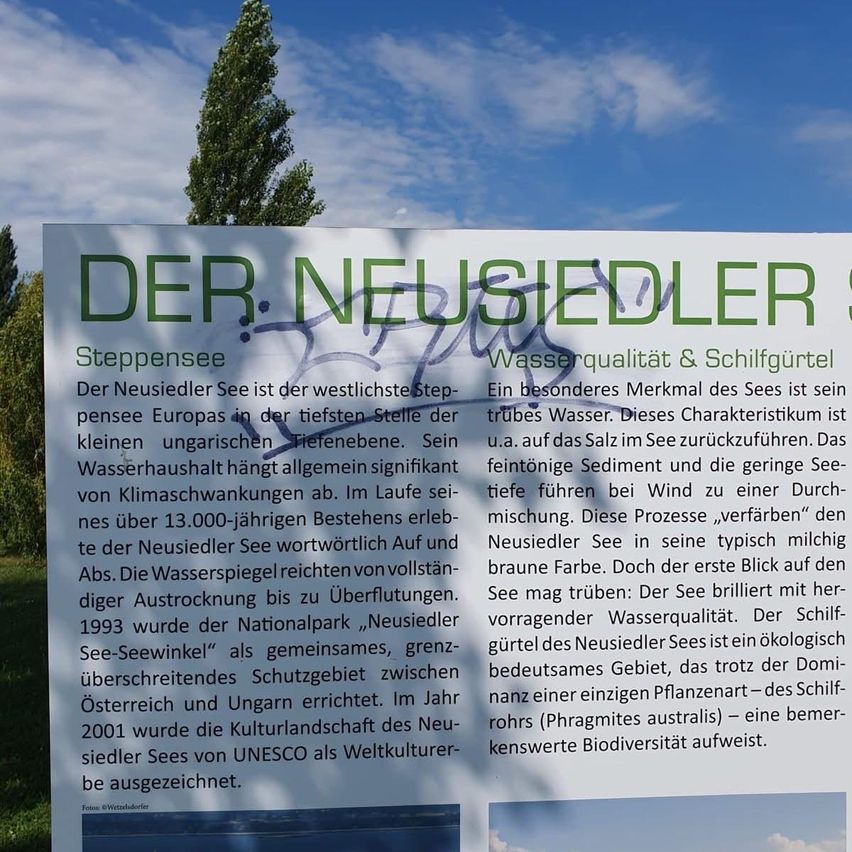Schild am Neusiedler Steppensee, beschreibt dessen Wasserqualität und Schilfgürtel. Der Neusiedler See ist Europas westlichster Steppensee. Seine Wasserqualität ist bedeutend, beeinflusst von Klimaschwankungen. Sein Schilfgürtel ist ein bemerkenswertes Merkmal.