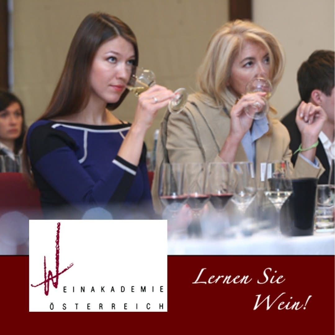 Zwei Frauen bei einer Weinverkostung, die Wein aus Weinglasern trinken. Zusätzliche Personen sitzen am Tisch mit Weingläsern vor ihnen. Das Bild enthält ein Logo und den Text 'Lernen Sie Wein!' auf Deutsch.