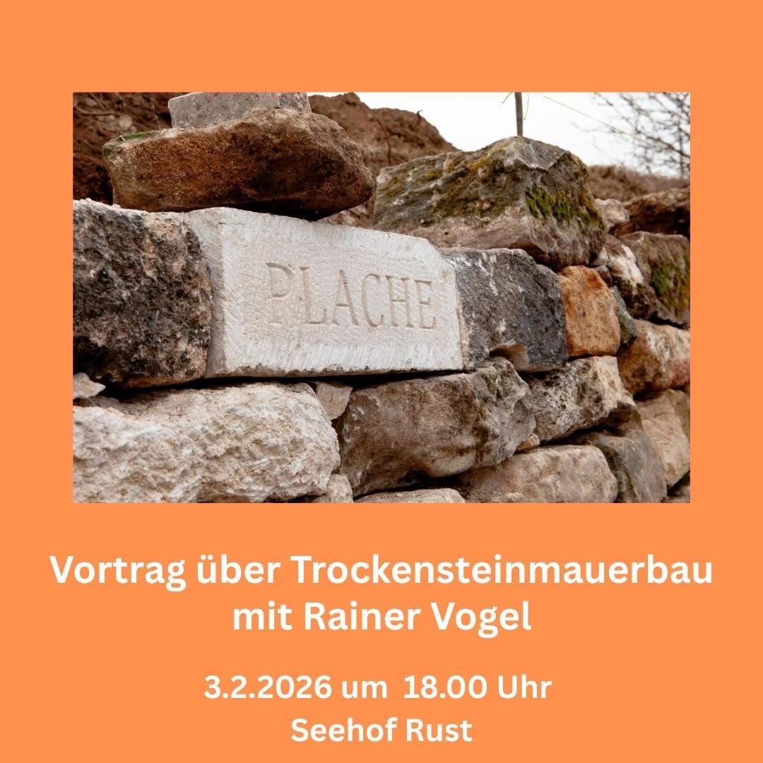Ein Bild zeigt eine Steinmauer mit einem Steinblock, auf dem das Wort 'PLACHE' eingraviert ist. Der Text darunter bewirbt einen Vortrag über Trockensteinmauerbau von Rainer Vogel am 3.2.2026 um 18:00 Uhr im Seehof Rust.