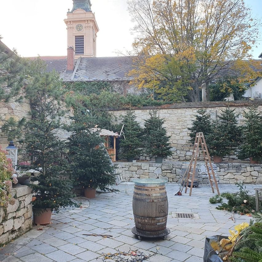 Ein Steinhof mit Topfpflanzen, einem Holzfass und einer Steinmauer mit einem Uhrturm im Hintergrund.