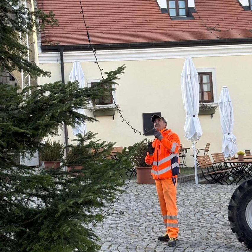 Ein Mann in Warnkleidung steht neben einem großen Baum in einem Kopfsteinpflasterhof. Hinter ihm hat ein Gebäude mit rotem Dach mehrere Fenster und geschlossene weiße Regenschirme. Es gibt Topfpflanzen und Tische und Stühle im Freien.