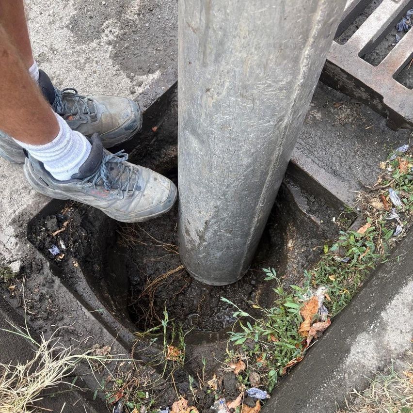 Eine Person in Turnschuhen und weißen Socken steht in einem Loch neben einem Betonpfosten. Das Loch ist mit Erde und kleinen Pflanzen gefüllt.