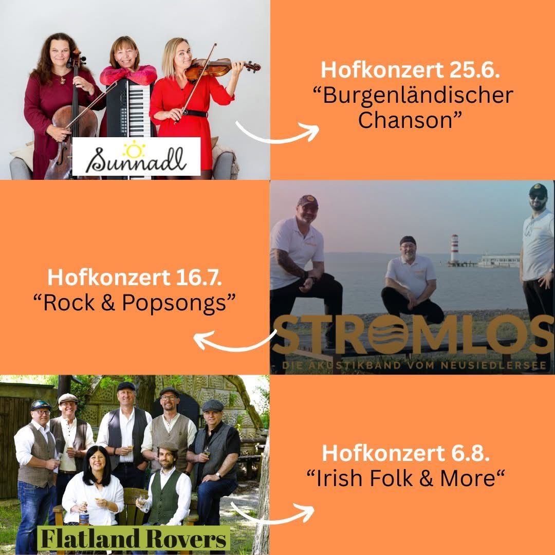 Drei Musikgruppen werden für bevorstehende Konzerte beworben. Die erste zeigt drei Frauen, die klassische Instrumente spielen, die zweite ist ein Trio, das vor dem Meer fotografiert wurde, und die dritte ist eine Gruppe von sechs Personen, die draußen stehen.