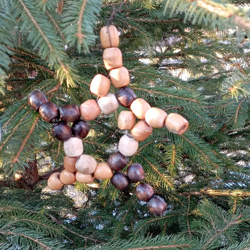 Plant, Tree, Christmas, Christmas Decorations, Festival, Christmas Tree, Christmas Tree Ornaments, Accessories, Jewelry, Necklace