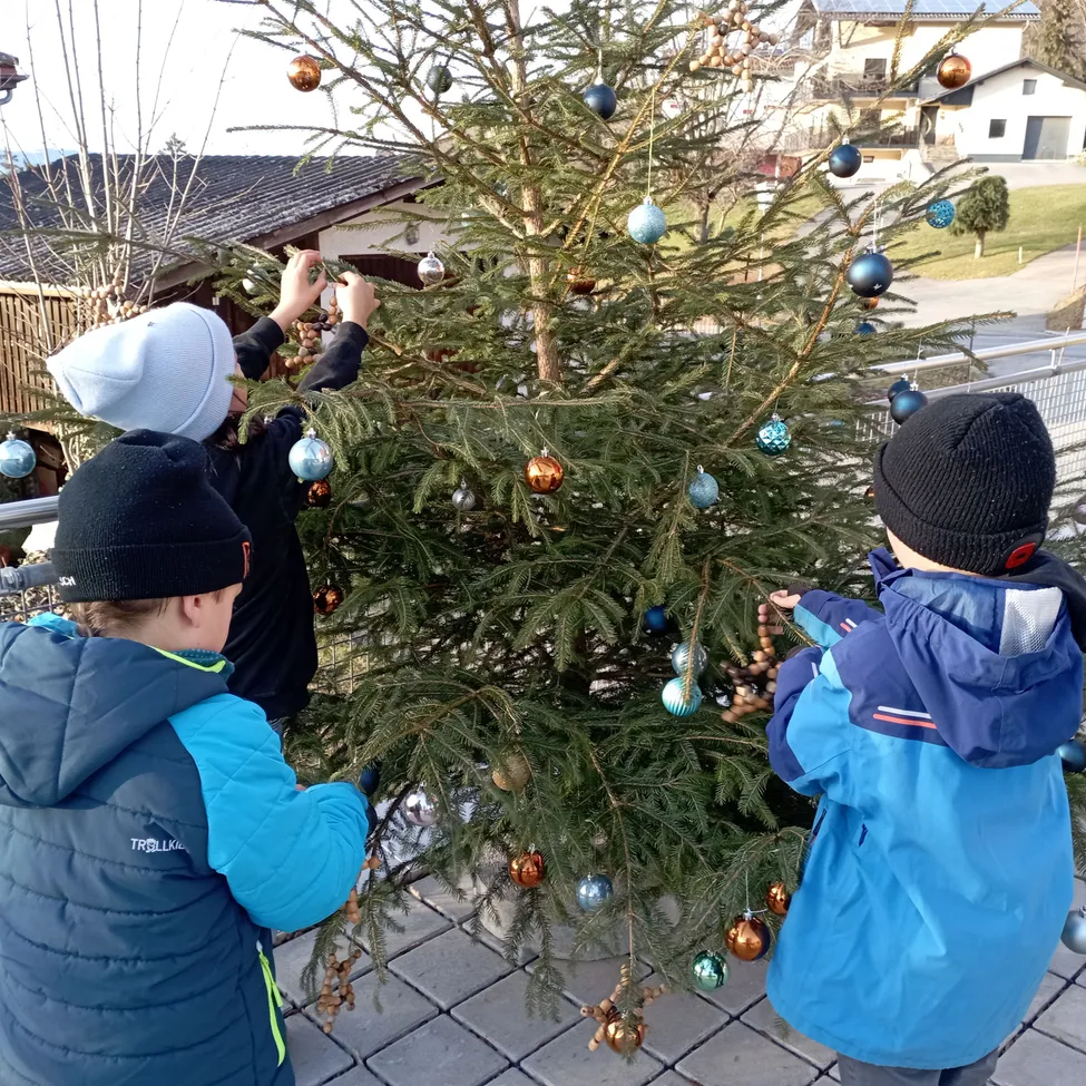 Photography, Hat, Tree, Cap, Coat, Person, Fir, Face, Head, Electronics