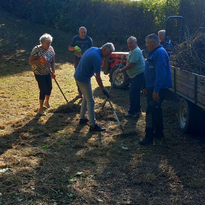 Eine Gruppe von Menschen reinigt ein Feld mit Harken und Schaufeln. Ein Mann beugt sich vor, während andere herumstehen. Ein Traktor ist in der Nähe geparkt.