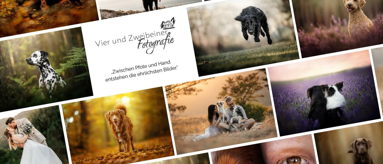 Eine Collage von Bildern, die verschiedene Fotografiethemen zeigt. Es enthält ein Paar auf einem Felsen, einen Hund in der Luft und eine Person mit einem Hund. Es betont die Erstellung ehrlicher Bilder.