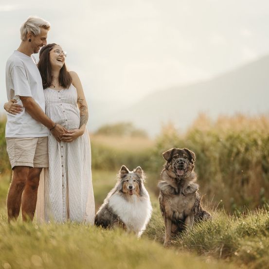 Ein Paar steht in einem Grasfeld mit zwei Hunden. Die Frau ist schwanger und trägt ein weißes Kleid. Der Mann trägt ein weißes T-Shirt. Der Hund links ist ein Collie und der Hund rechts ist ein Deutscher Schäferhund.