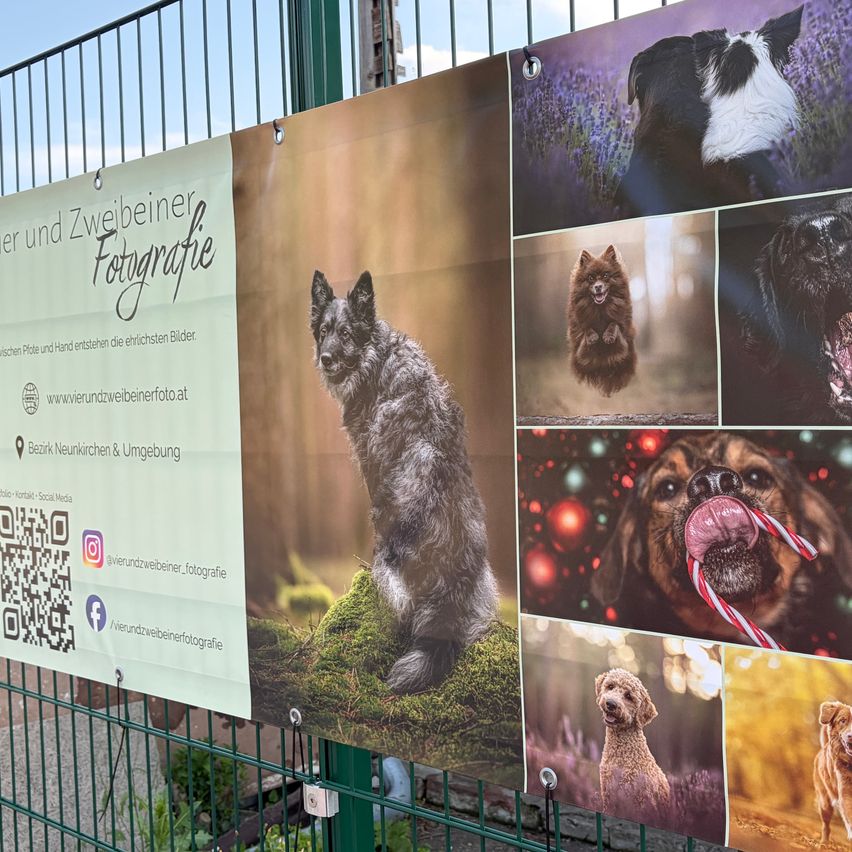 Ein Werbebanner mit verschiedenen Hundefotos, darunter ein grauer sitzender Hund, wird an einem Zaun angebracht. Es hat einen QR-Code und den Text 'Tier und Zweibeiner Fotografie'.