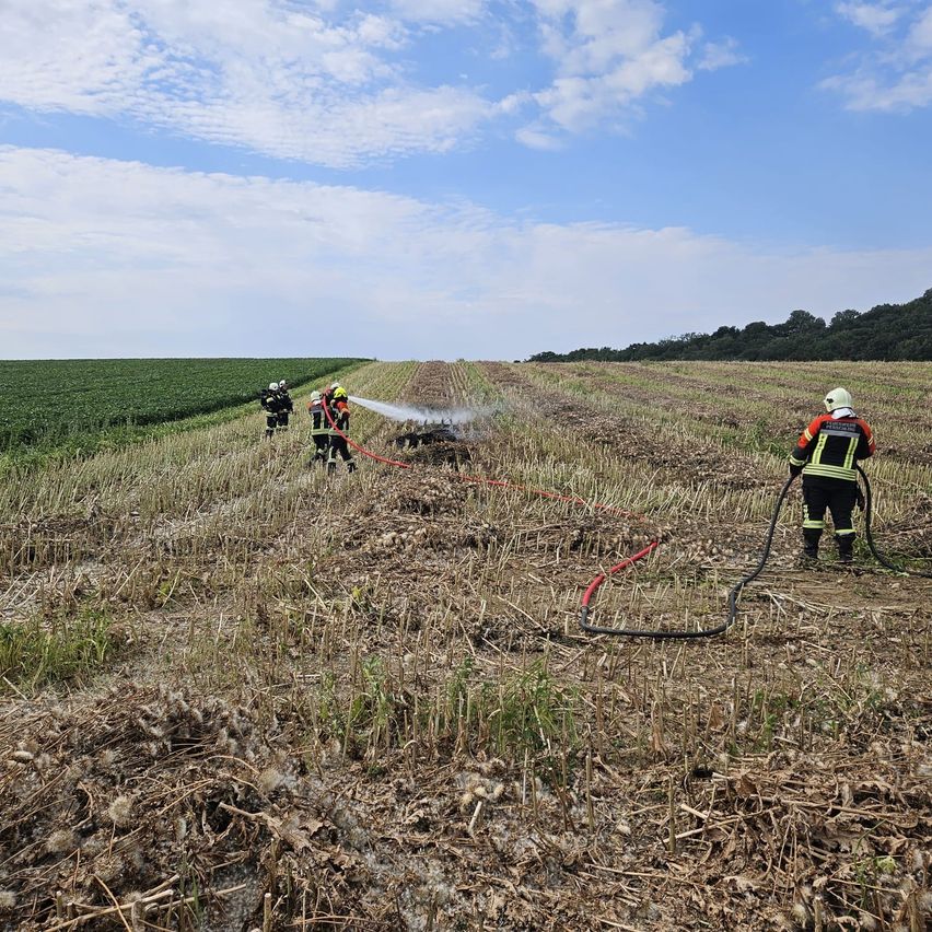 Feuerwehrleute verwenden einen Schlauch, um ein Feuer in einem Feld mit trockenem Gras zu löschen.