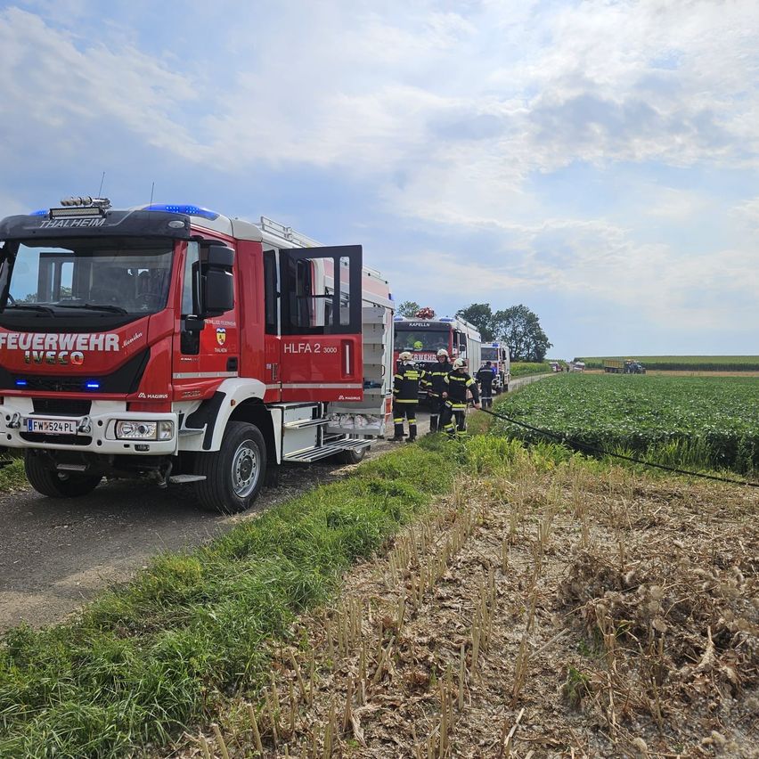 Feuerwehr Thalheim mit Einsatzfahrzeugen und Einsatzkräften im Feld bei Kapellen