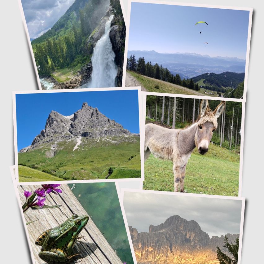 Eine Collage aus sechs Bildern, die landschaftliche Szenerien, Wasserfälle und Wildtiere zeigt. Erstens, ein Berg mit einem Wasserfall; zweitens, ein Paraglider; drittens, ein Berggipfel; viertens, ein Esel; fünftens, ein Frosch auf einem Holzbrett; sechstens, eine Bergkette.