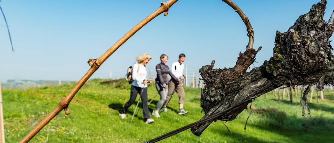 Bild enthält, Person, Walking, Grass, Outdoors