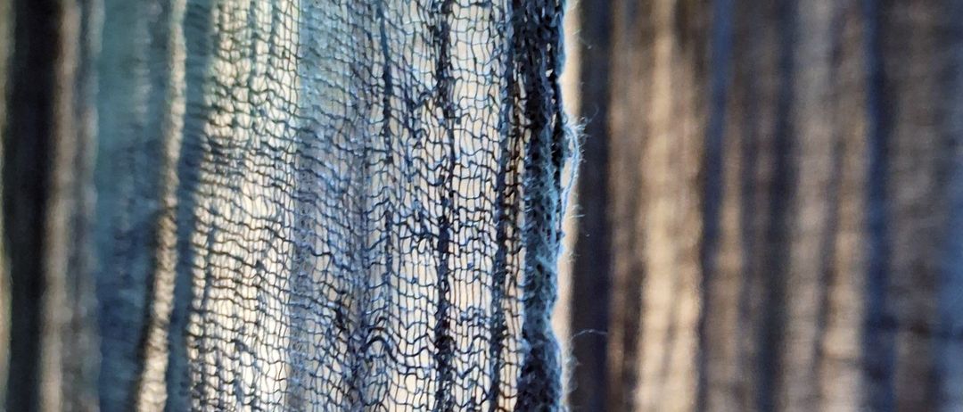 Bild enthält, Wood, Plant, Tree, Tree Trunk, Clothing, Pants, Texture, Outdoors, Nature, Jeans