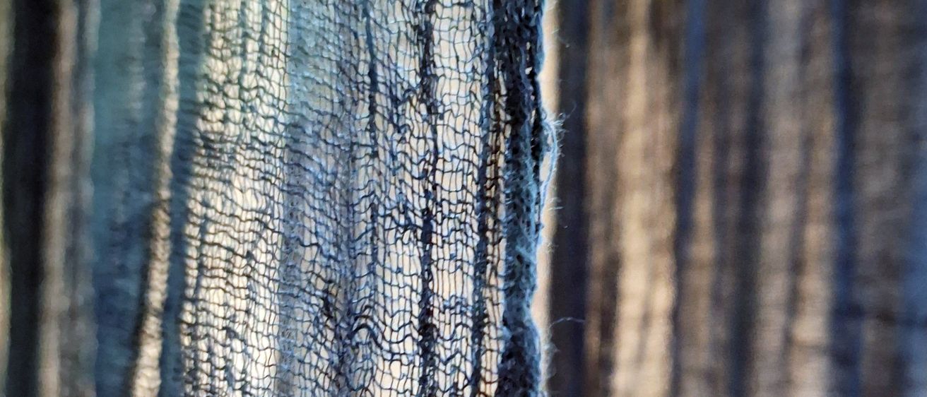 Bild enthält, Wood, Plant, Tree, Tree Trunk, Clothing, Pants, Texture, Outdoors, Nature, Jeans