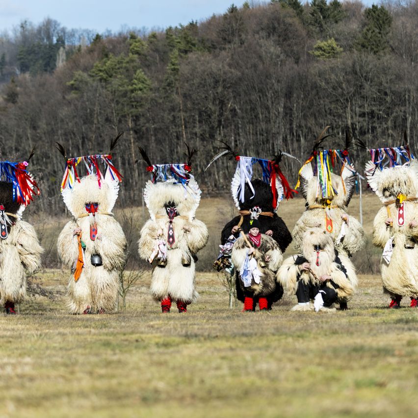 Eine Gruppe von Menschen in traditionellen Kostümen mit Masken und Federn führt in einem Grasfeld mit Bäumen im Hintergrund ein Ritual durch.