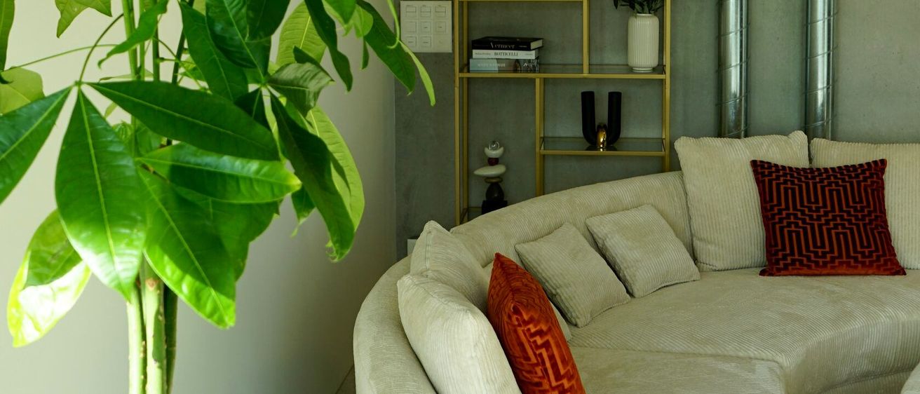 Ein modernes Wohnzimmer mit einer großen grünen Pflanze. Der Raum hat eine gebogene Couch, ein Regal mit Büchern und eine Vase. Die Wand ist aus Beton und es gibt Rohre an der Decke.