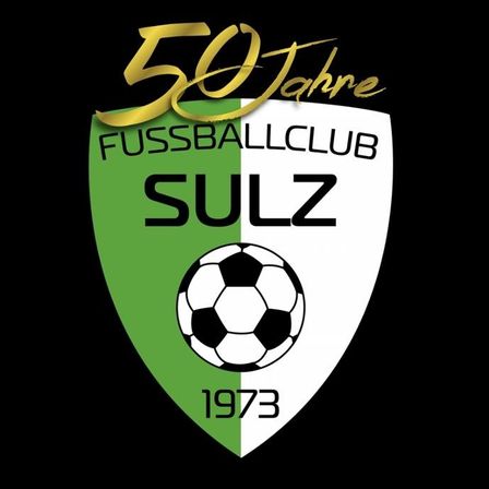 Bild enthält, Ball, Football, Soccer, Soccer Ball, Sport, Logo, Badge, Symbol