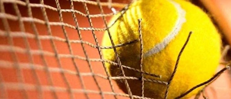 Bild enthält, Ball, Sport, Tennis, Tennis Ball, Racket, Football, Soccer, Soccer Ball