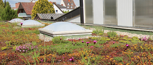 Bild enthält, Garden, Nature, Outdoors, Housing, House, Roof, Window, Gardening, Grass, Shelter