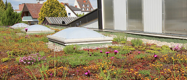 Bild enthält, Garden, Nature, Outdoors, Housing, House, Roof, Window, Gardening, Grass, Shelter