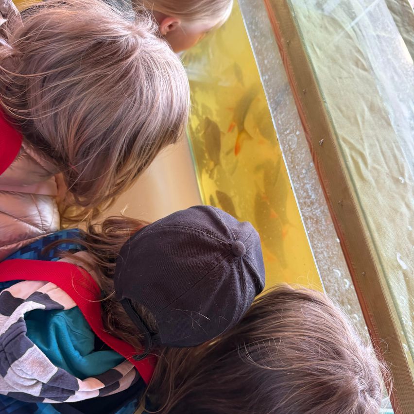 Mehrere Kinder stehen um ein Aquarium herum und beobachten die Fische beim Schwimmen. Ein Kind trägt einen Hut, ein anderes einen Rucksack. Das Aquarium ist mit gelbem Licht beleuchtet.