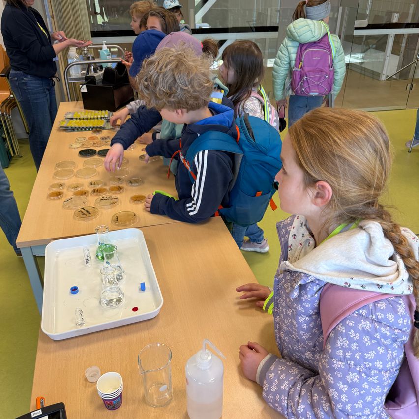Kinder versammeln sich in einem Labor um einen Tisch und experimentieren mit Petrischalen und kleinen Flaschen. Eine Mädchen sitzt in der Nähe und beobachtet das Experiment.