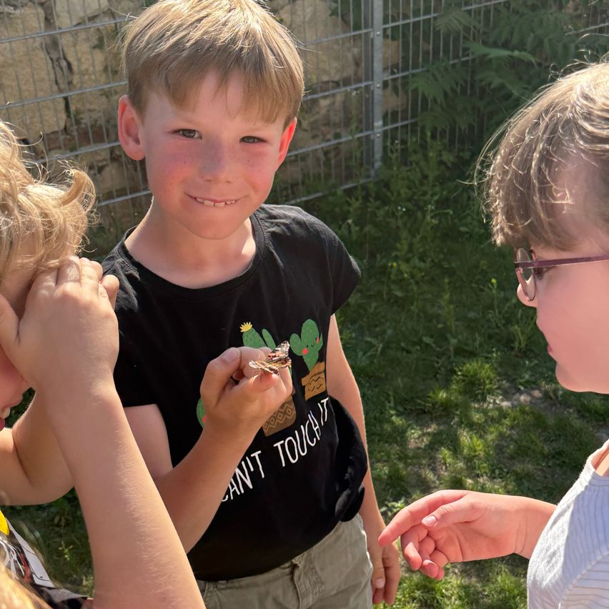 Ein junger Junge in einem schwarzen T-Shirt hält einen Schmetterling und zeigt ihn einem Mädchen mit Brille und einem anderen Kind. Sie stehen in einem Garten in der Nähe einer Steinmauer.