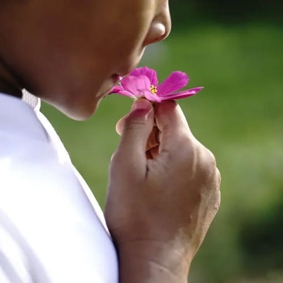 Bild enthält, Face, Head, Person, Flower, Petal, Plant, Biting
