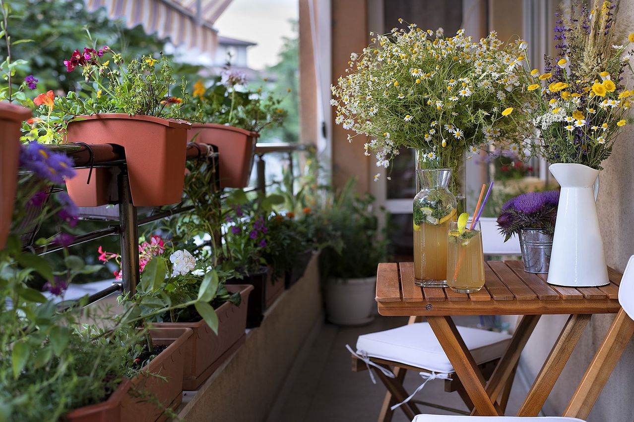 Bild enthält, Balcony, Potted Plant, Flower, Flower Arrangement, Pottery, Jar, Nature, Outdoors, Flower Bouquet, Garden
