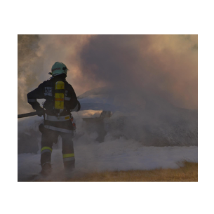 v1_migrated_image_62117589