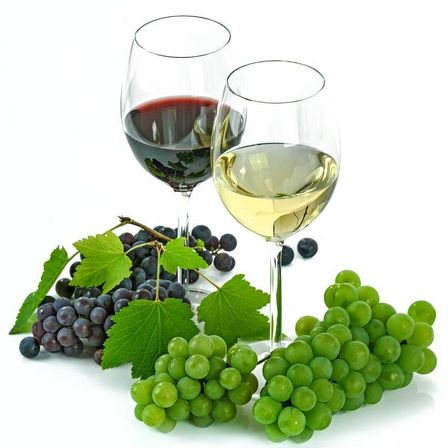 v1_migrated_image_93385493