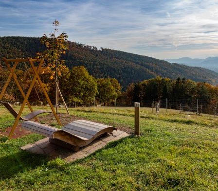 Ein hölzernes Schaukelset auf einer Rasenfläche mit Blick auf einen Berg im Hintergrund. Das Gebiet ist von Bäumen und Pflanzen umgeben.