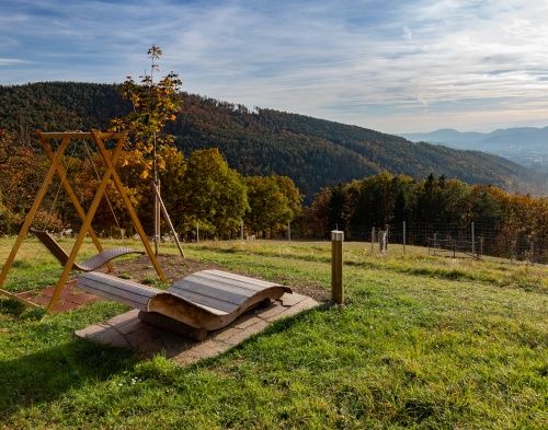 Ein hölzernes Schaukelset auf einer Rasenfläche mit Blick auf einen Berg im Hintergrund. Das Gebiet ist von Bäumen und Pflanzen umgeben.