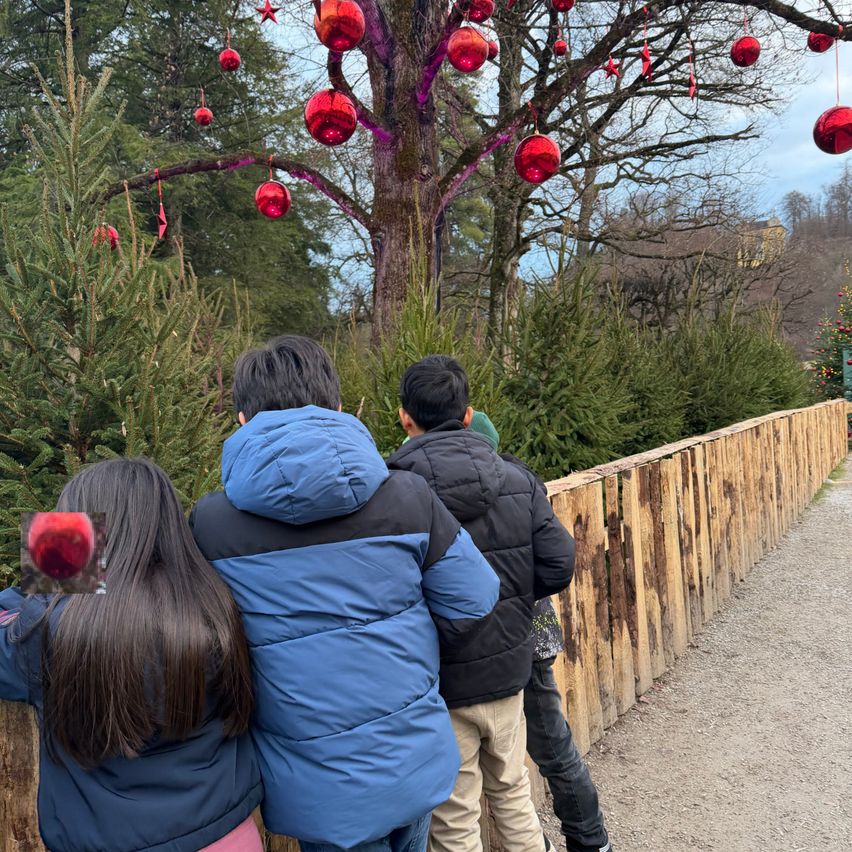Drei Kinder, eingemummelt in Wintermäntel, betrachten einen festlich geschmückten Baum mit roten Kugeln und Sternen, während sie hinter einem Holzzaun stehen.
