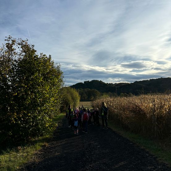 Bild enthält, Gravel, Road, Person, Walking, Hiking, Nature, Outdoors, Path, Scenery, Tarmac